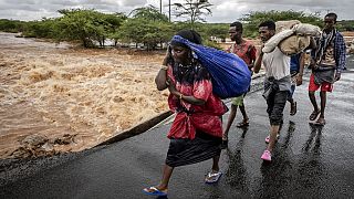 Afrique de l'Est : l'activité humaine intensifie les pluies diluviennes