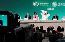 A news conference at COP28 today on ministerial pairings. 