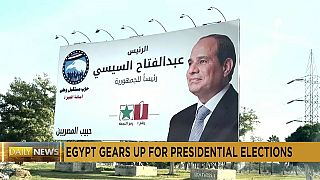 Egypt: election preparations get underway