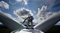 A new LinkedIn report finds we are heading for a green skills shortage.