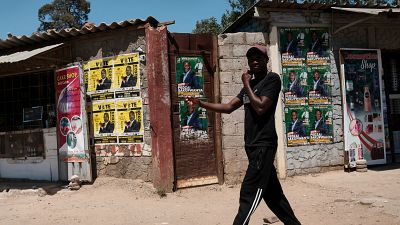 Zimbabwe : élections partielles après l'exclusion de 9 députés