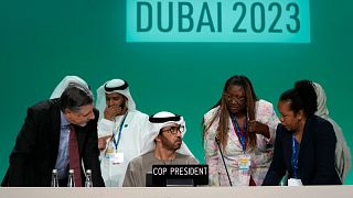 Le président de la COP28, Sultan al-Jaber, au centre, le samedi 9 décembre 2023, à Dubaï, aux Émirats arabes unis.