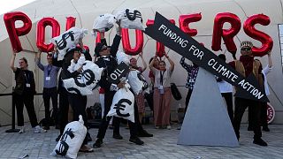 Activists protest against fossil fuels at COP28.