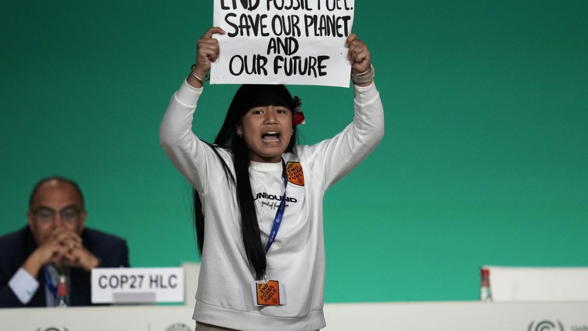 Eine Demonstrantin protestiert während einer Veranstaltung auf dem UN-Klimagipfel COP28 am Montag, den 11. Dezember 2023, in Dubai gegen die Nutzung fossiler Brennstoffe.
