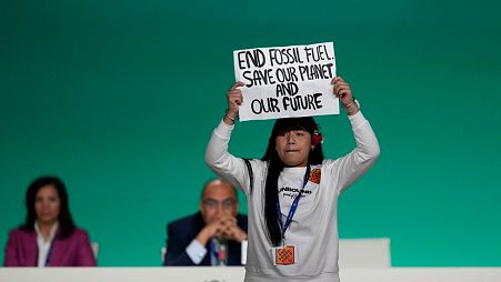 A demonstrator protests against the use of fossil fuels during an event at COP28.