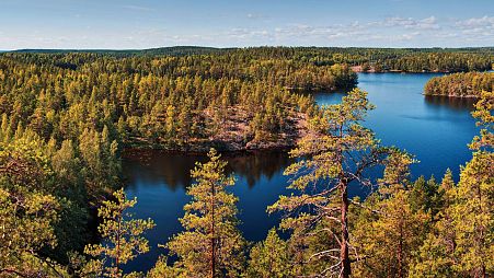 Finland's plans to go carbon negative include expanding its forests.