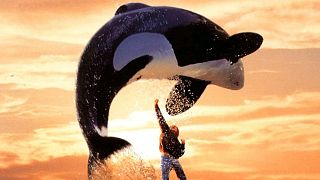 Keiko the orca, the star of 'Free Willy' died 20 years ago today