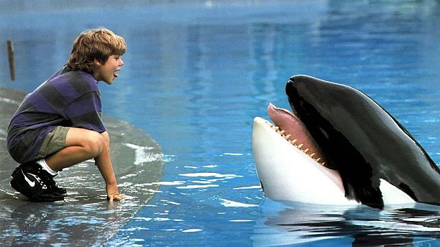 Culture Re-View: Remembering Keiko the Orca, 20 years after his death