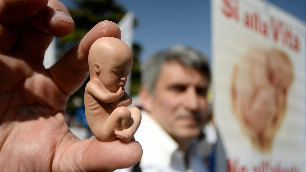 A pro-life, anti-abortion and pro-family activist displays a rubber foetus during a "March for Family" within the World Congress of Families (WCF) conference in March 2019.