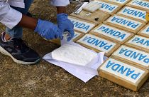 Изъятая партия кокаина в Колумбии