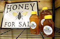 Надпись на полке магазина "Мёд на продажу" и баночки с ним 