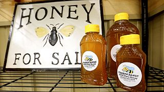 La revisión de la legislación prevé mejorar el etiquetado de la miel.