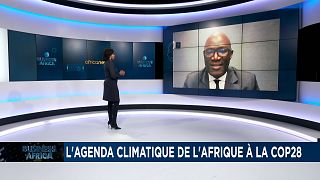 COP 28 : l'agenda climatique de l'Afrique [Business Africa]