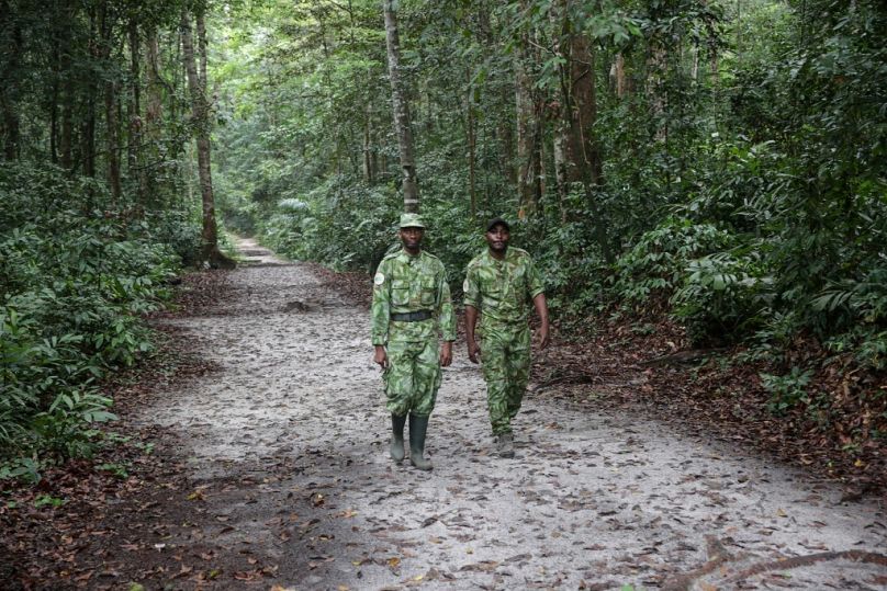 Two forest rangers walk on a road in the Akanda forest, a national park a few kilometres from the city centre of the capital, Libreville, September 2019