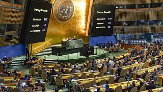Szavazás az ENSZ Közgyűlésben