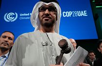COP28 President Sultan al-Jaber holds the gavel at the end.