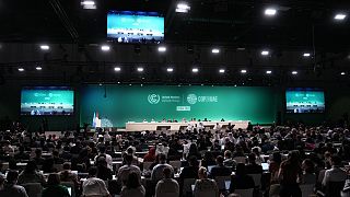 Birleşik Arap Emirlikleri'nin Dubai kentinde düzenlenen COP28 İklim Zirvesi genel görünüm