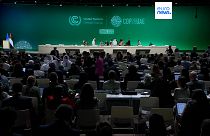 Sesión plenaria de la COP28