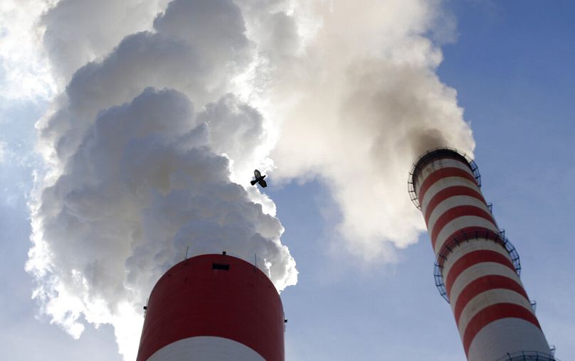 A bird flies past as smoke emits from the chimneys of Serbia's main coal-fired power station near Kostolac, October 2018