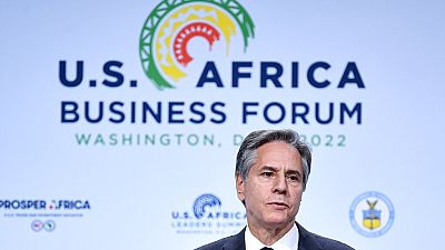US hails 'Record' year for trade with Africa