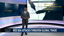 Countries fret over prospect of wider Red Sea violence [Business Africa] 