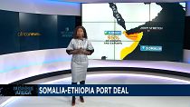 Ethiopia-Somaliland deal: A pivotal move for sea access and regional relations (Business Africa)