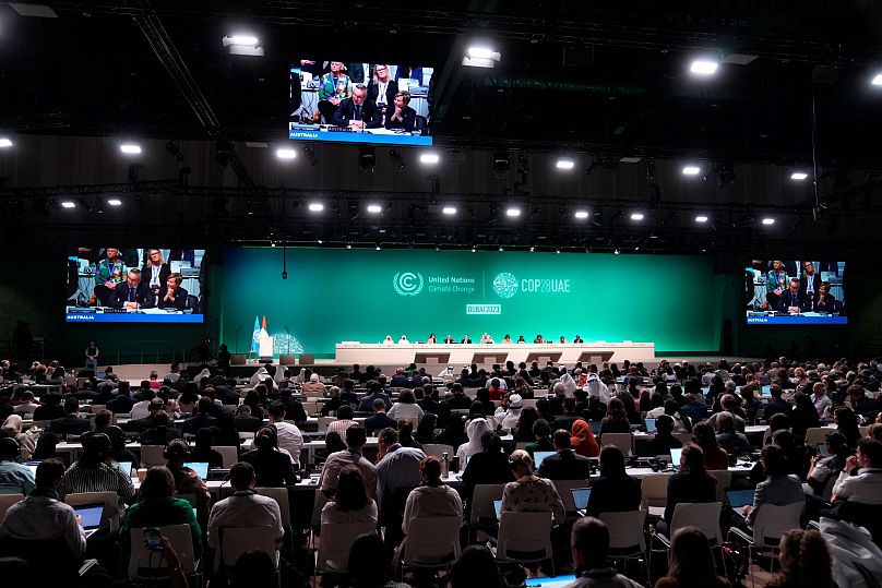 Ministers speak during the final plenary session at the COP28 climate summit in Dubai, United Arab Emirates, 13 December.