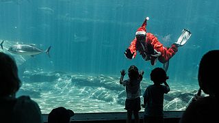 Santa Claus Makes a Splash at uShaka Marine World in Durban, South Africa