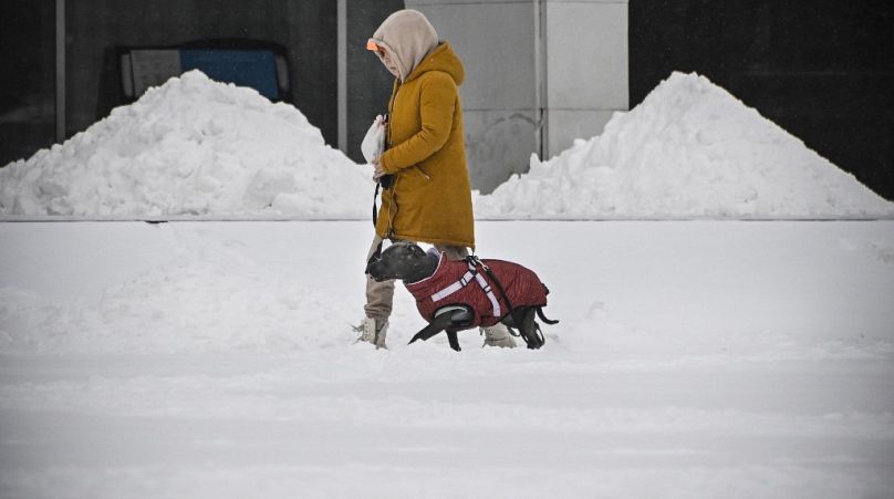 Uma mulher passeia o seu animal de estimação após uma forte queda de neve no oeste de Moscovo, a 15 de dezembro.