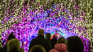 التركيبات الضوئية بمناسبة موسم أعياد الميلاد في حديقة نومكيغ الولايات المتحدة الأمريكية