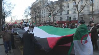 Manifestación en las calles de París pidiendo el alto el fuego en Gaza