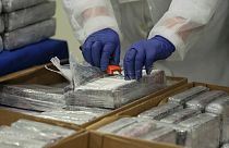 Autoridades levaram a cabo apreensões de cocaína em vários países