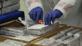 Autoridades levaram a cabo apreensões de cocaína em vários países