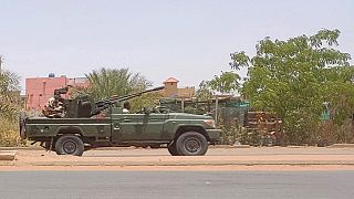 Sudan: RSF paramilitary claim control of Roufaa, Wad Madani 