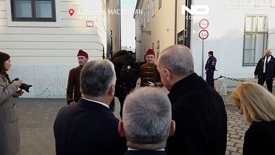 Orban, Erdoğan'a Budapeşte'de at hediye etti