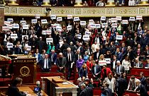 Göç metnine tepki gösteren Fransız milletvekilleri