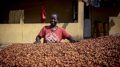 Au Ghana, l'exploitation minière illégale menace la filière cacao