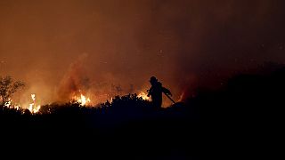 Afrique du Sud : 300 pompiers combattent un incendie à flanc de montagne