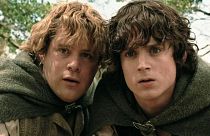 A fanfiction author's unauthorised sequel to The Lord of the Rings is copyright infringement, a court ruled.