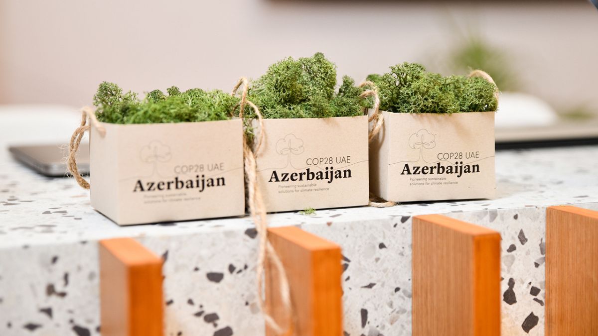 Озеленение стенда COP28 в Азербайджане