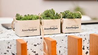 Greenery at the Azerbaijan COP 28 stand