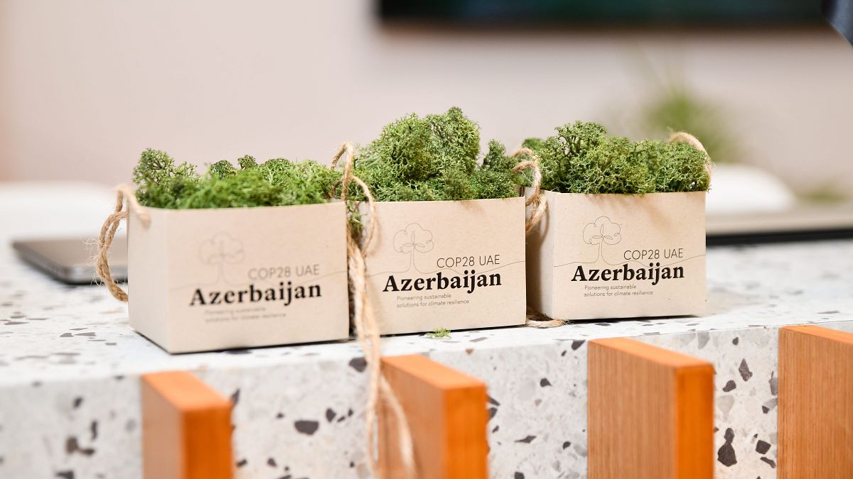 Pots végétaux au stand azerbaïdjanais de la COP28