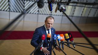 Новый премьер-министр Польши Дональд Туск