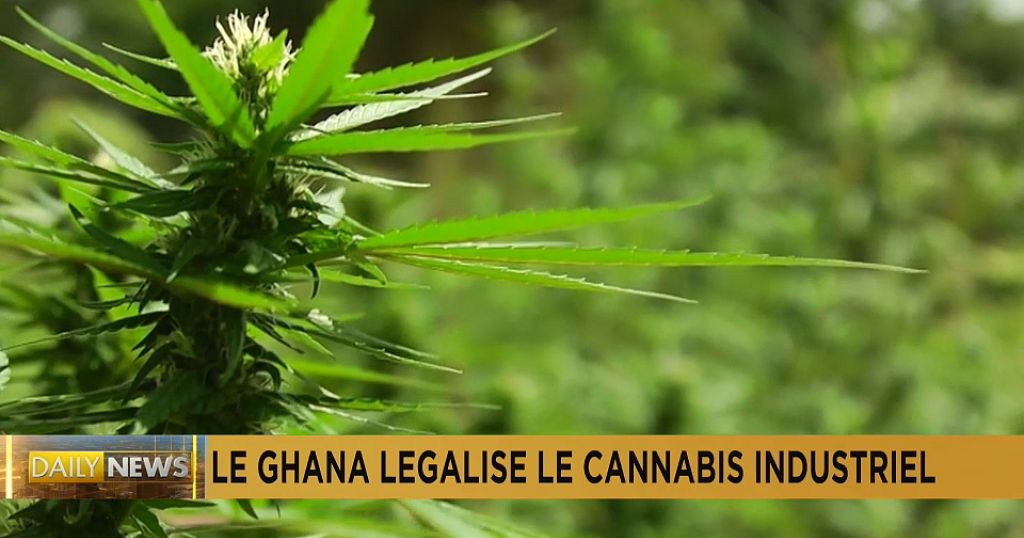 Ghana legalizes cannabis cultivation for medical and industrial use