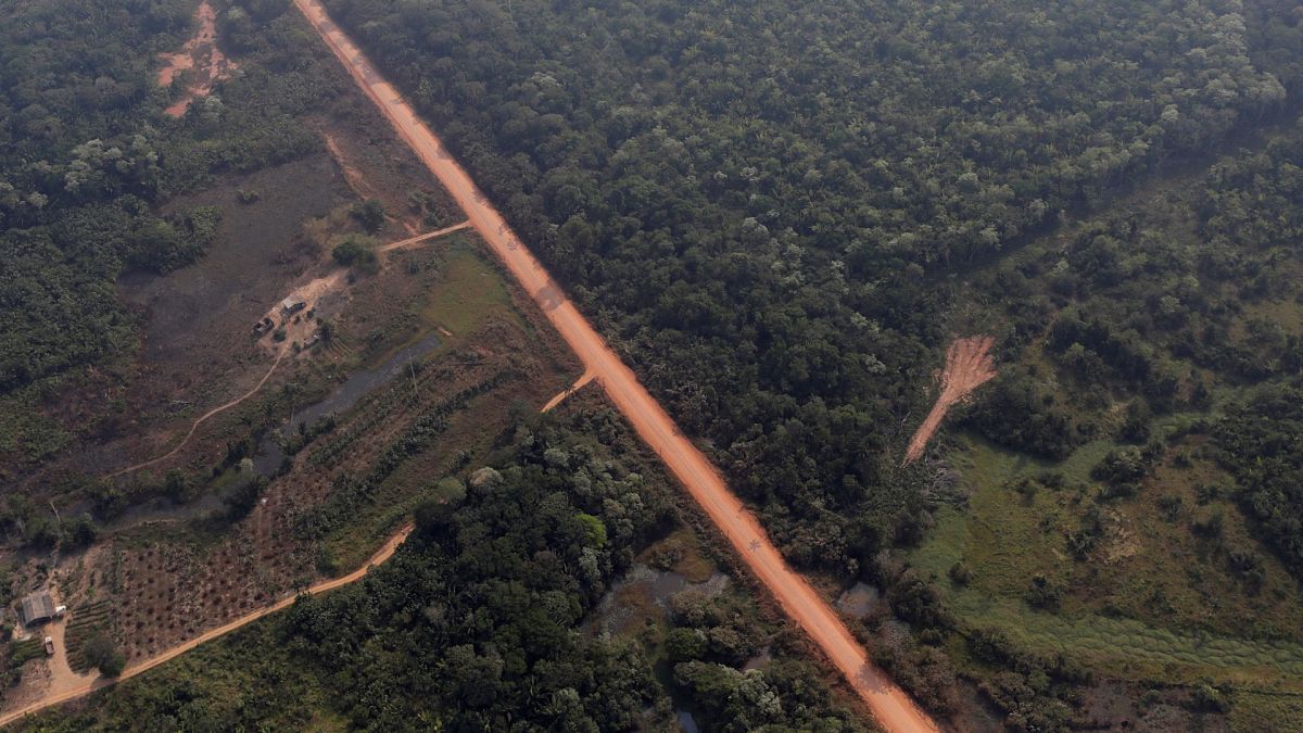 An aerial view of the road BR-319 highway near city of Humaita, Amazonas state, Brazil, August 2019. 