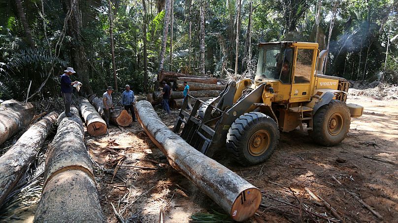 An employee operates a tractor in Bom Retiro deforestation area on the right side of the BR 319 highway near Humaita, Amazonas state, Brazil September 2019.