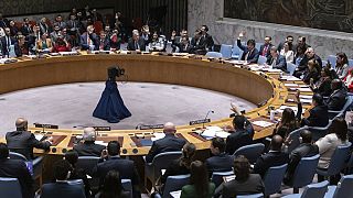 Les représentants des pays membres votent lors de la réunion du Conseil de sécurité au siège des Nations unies, vendredi 22 décembre 2023.