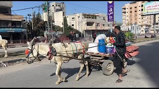 سكان غزة في نزوح مستمر 