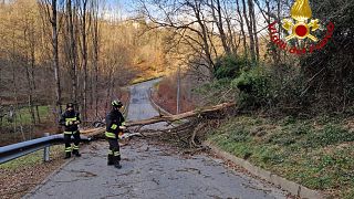 Bomberos italianos retiran varias ramas que cortan una carretera.