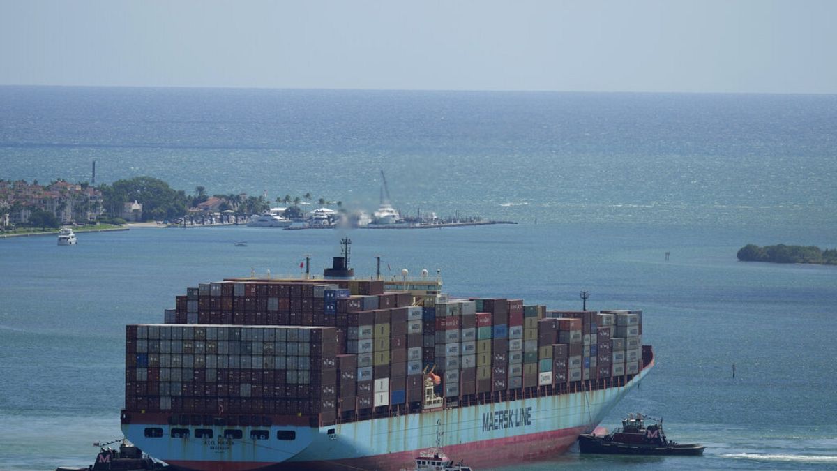 Shipping giant Maersk prepares to restart operations in Red Sea